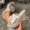 Beige, variant on Viluyesy Women's Platform Sandals, Open Toe Slip On Fashion Bow Summer 2025 Thick Sole Vacation Shoes Black 6