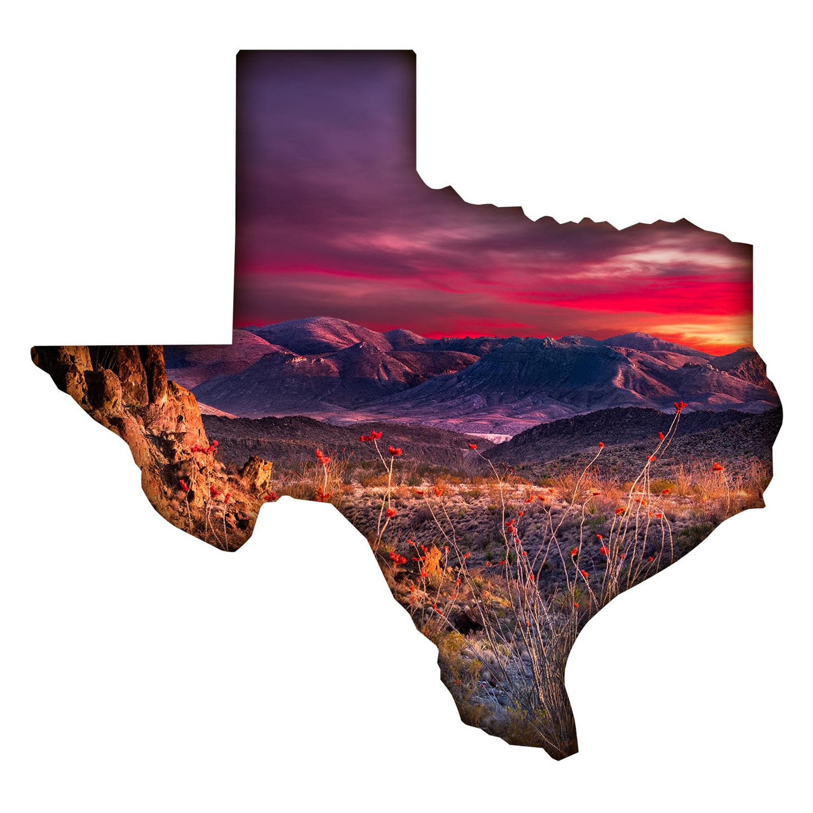Next Innovations Texas Indoor/Outdoor Metal Wall Art - Walmart.com