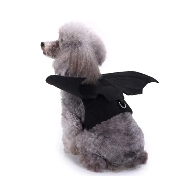 -m-Alas de murciélago para mascotas, disfraz de Halloween, negro, genial, para perro, gato, murciélago negro, para cambiarse
