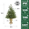 thumbnail image 3 of Fraser Hill Farm 3-Ft. Noble Fir Artificial Tree with Metallic Urn Base and Battery-Operated Multi-Colored LED String Lights, FFNF042-6GRB, 3 of 9
