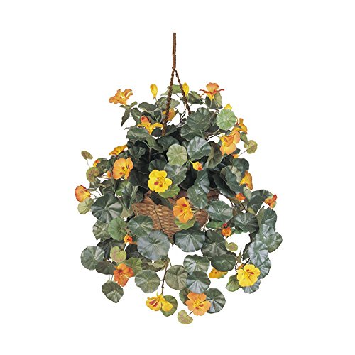 Nasturtium Hanging Basket Silk Plant