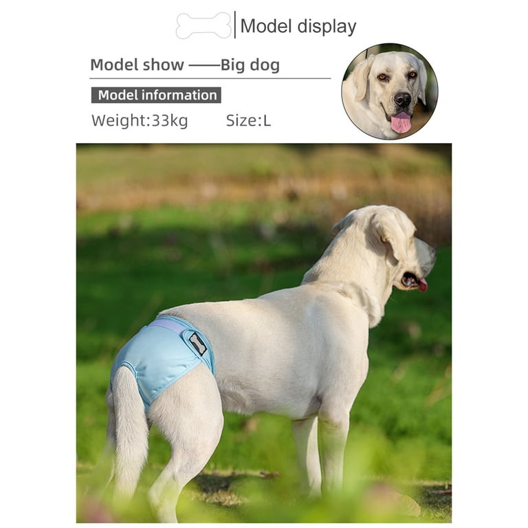Big dog cheap diapers