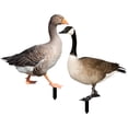 thumbnail image 1 of Garden Insert Decoration Duck Stakes Acrylic 2Pcs, 1 of 8