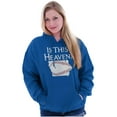 thumbnail image 4 of Is This Heaven State of Iowa Ballgame Unisex Plus Fleece Graphic Hoodie Brisco Brands 2X, 4 of 5