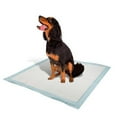 thumbnail image 2 of Tango Large Training Pads, 216-count, 2 of 2