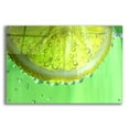 thumbnail image 1 of Epic Art 'Lemon Slice' by Dana Brett Munach, Acrylic Glass Wall Art, 36"x24", 1 of 8