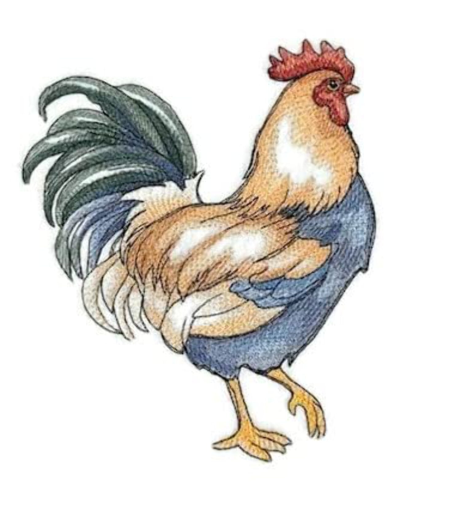 Nature Weaved in Threads, Amazing Rooster [Charming Country Chicken ] [Custom and Unique] Embroidered Iron on/Sew Patch (6.89" x 6.9") [Made in USA]