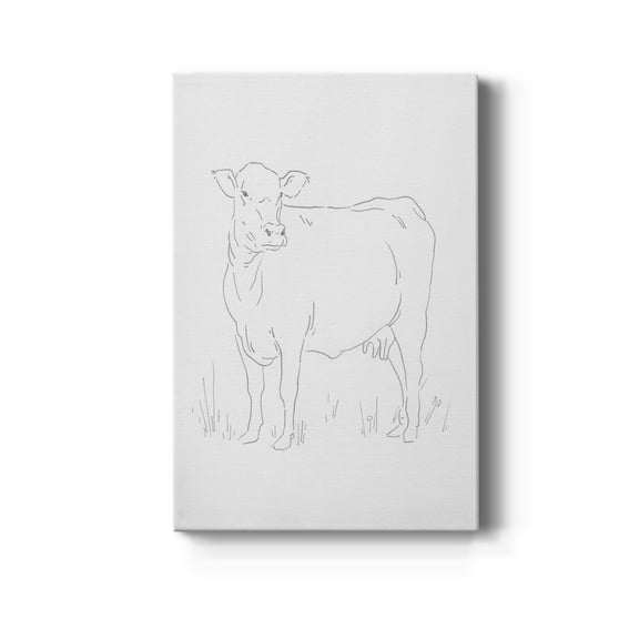 Limousin Cattle II Premium Gallery Wrapped Canvas - Ready to Hang
