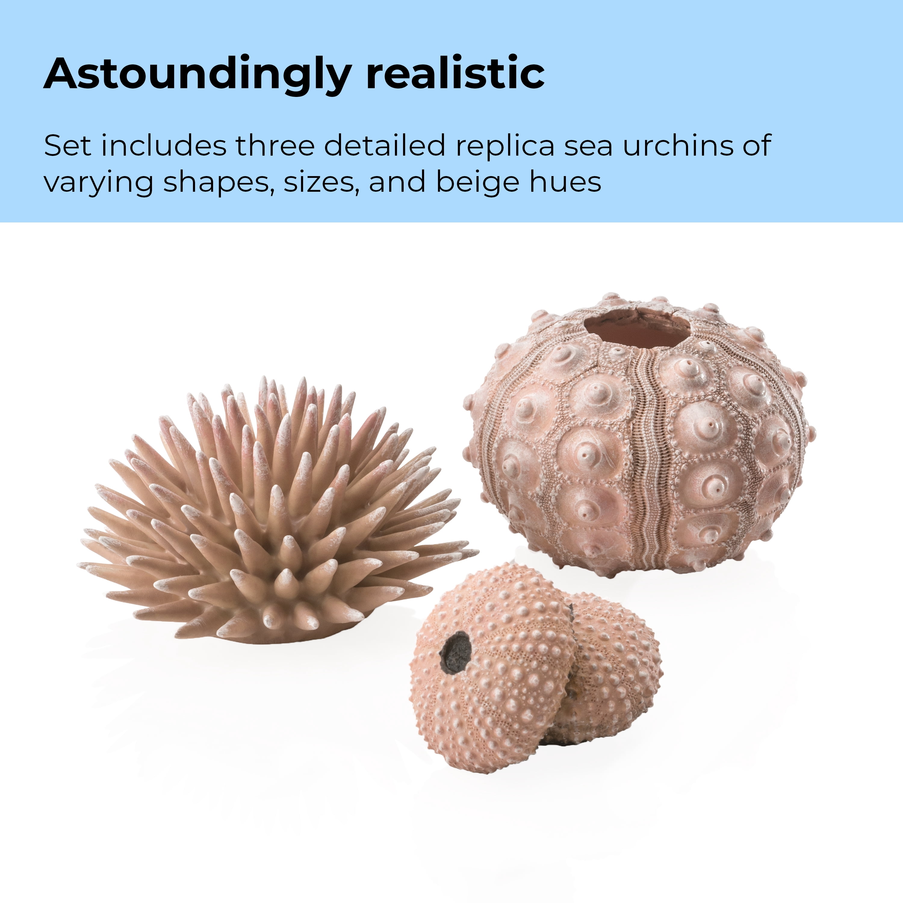 biOrb Aquarium Décor Sea Urchins Set of 3 - Ceramic, Natural