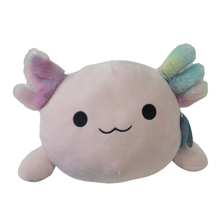 Kellytoy Holiday Squishmallow Laying Axolotl HUGMEES ARCHIE IN HAND Free Ship!