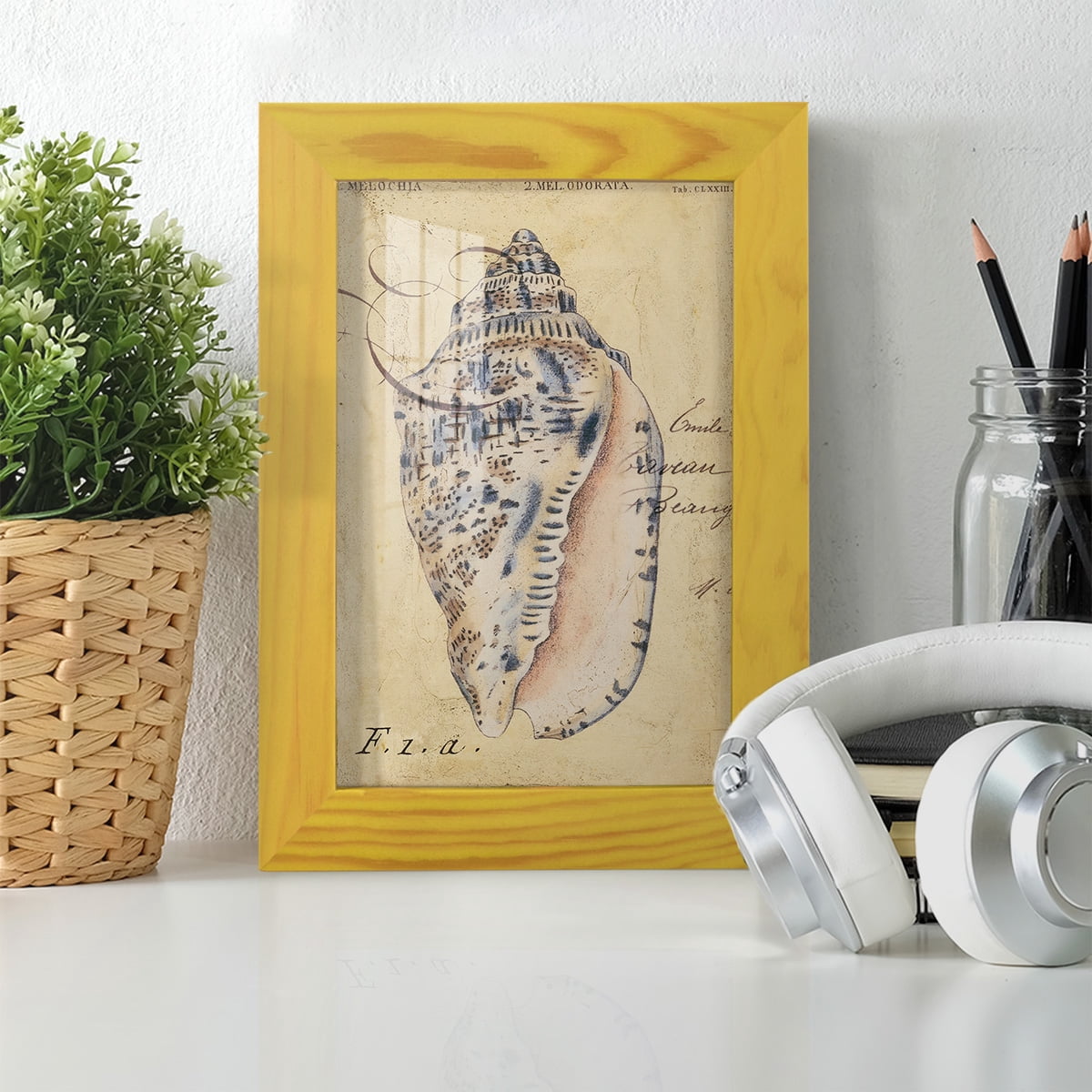 Seashell Ephemera I - Framed Print w/glass - Sunflower Yellow