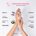 thumbnail image 2 of Kit 3 Cremas Para Manos Varios Aromas B Life | 80 ml c/u | Con Vitamina E y Niacinamida., 2 of 7