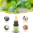 thumbnail image 5 of Sedbuwza Essential Oil 100% Pure Sandalwood, Lavender and Peppermint Set 10ml, 5 of 7