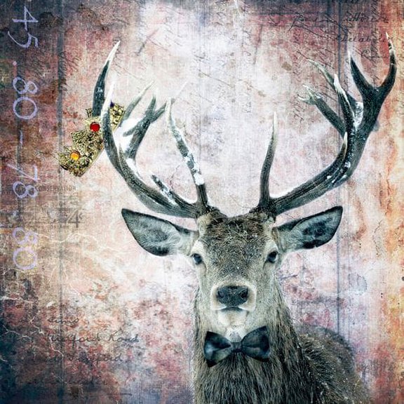 Marmont Hill "Buck Prince" by Morgan Jones Painting Print on Wrapped Canvas