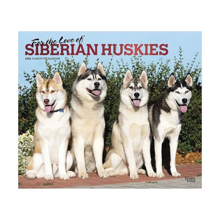 UPC: 0097815528034 | 2023 BrownTrout For the Love of Siberian Huskies 12  x 14  Monthly Wall Calendar (9781975452803)