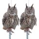 thumbnail image 1 of 2pcs Owl Bird Scarer With Reflective Tape Bird Deterrent Bird Repellent Devices To Scare Birds Pigeons Away For Garden Roofs Patio Windows Balcony Tre, 1 of 5