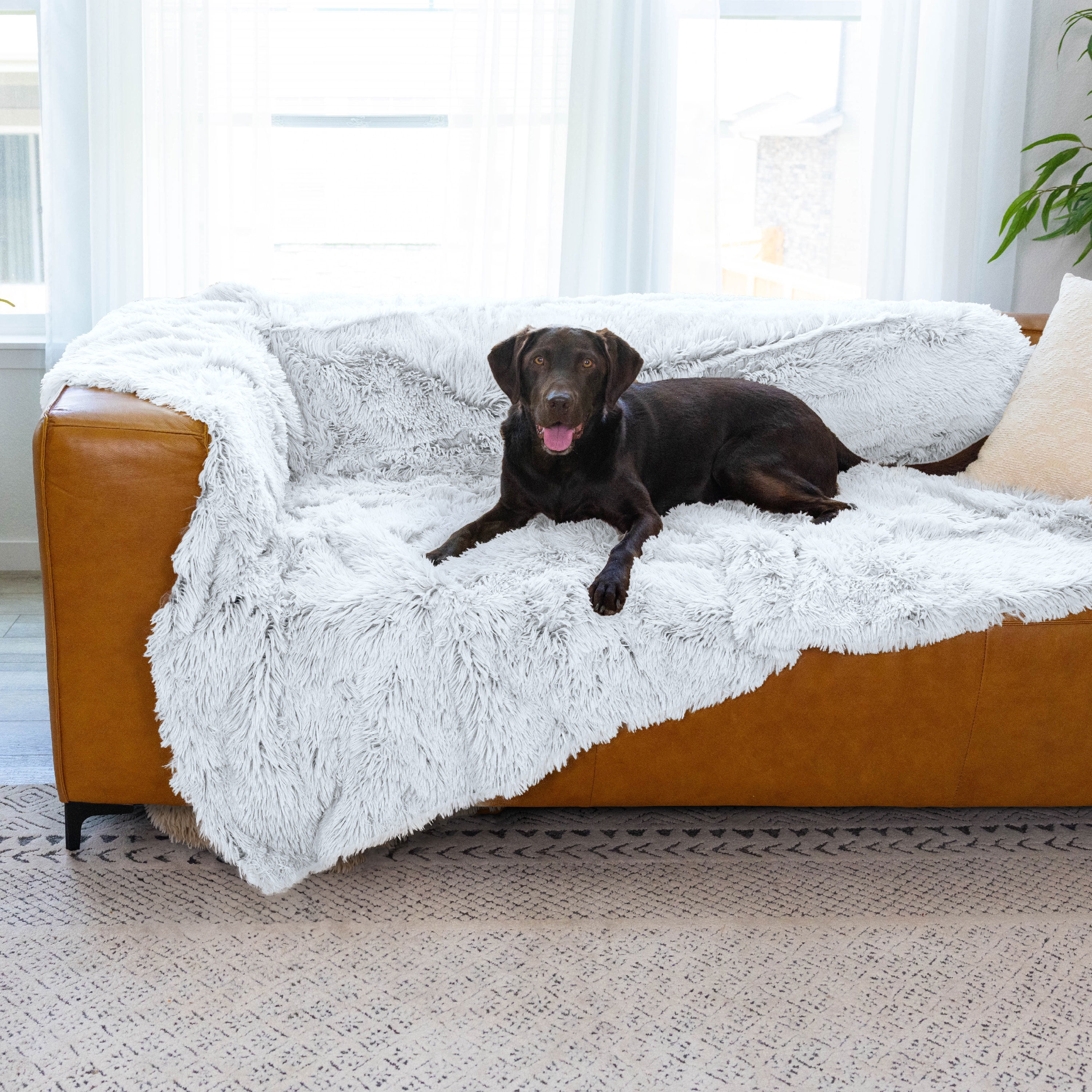 Best Friends by Sheri Calming Shag Cat and Dog Blanket with Non-Skid, Water Resistant Base, Machine Washable, Frost Gray, 60" x 80"