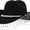 Black, variant on Guvpev Cowboy Hat for Women's - Fashionable Party Dress Up Accessories, Rhinestone Tassels Western Hats for Halloween Cosplay, Festival, Carnival, Music Concert, Wedding & Holiday Celebration