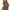 Khaki（1）, variant on Diufon Summer Shorts for Women Trendy Drawstring Loose Yoga Shorts Elastic High Waisted Beach Shorts with Pockets