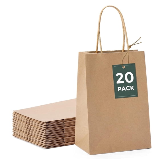 20Pcs,Brown Paper Bags 5.25x3.75x8, Small Gift Paper Bag with Handles Bulk, Graduation Gift, Sturdy Kraft Paper, Retail Shopping Bags, Party Favor, Christmas