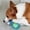 Blue, variant on Squeaky Dog Toys, Floating Fetch Ball for Water Play & Training, Interactive Durable Chew Toy, Bouncing Ball to Keep Them Busy,Green