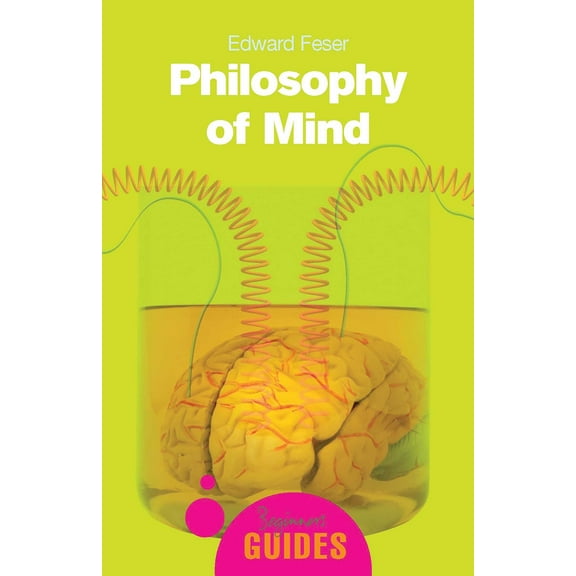 Beginner's Guides: Philosophy of Mind : A Beginner's Guide (Paperback)