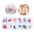 thumbnail image 3 of 12 couleurs de fleurs séchées naturelles pour nail art en acrylique, gel UV, décoration d'ongles, étui de conception, DIY, 3 of 4