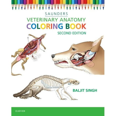 Veterinary Anatomy Coloring Book (Paperback) - Walmart.com Veterinary Anatomy Coloring Book (Paperback) - Walmart.com