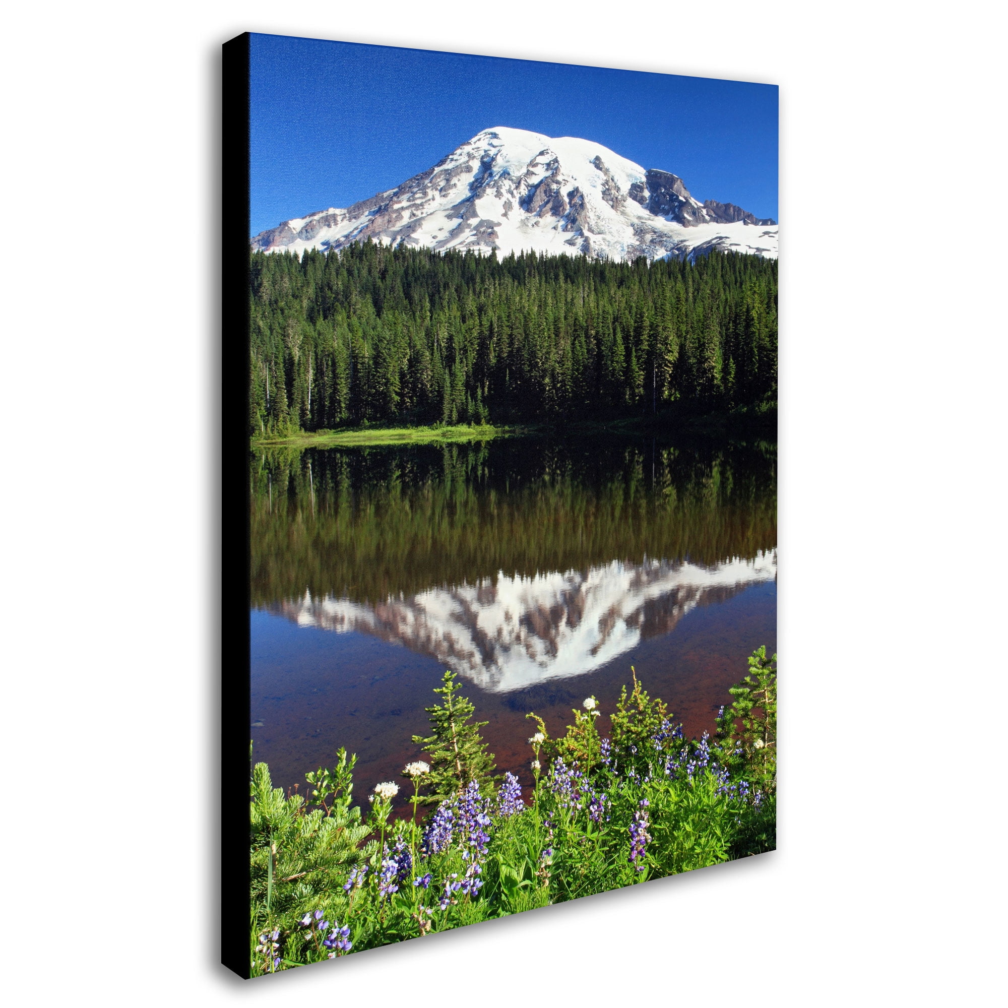 Trademark Fine Art "Rainier Wildflowers" Canvas Art by Pierre Leclerc