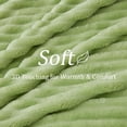 thumbnail image 4 of BEDELITE Grass Green Throw Blanket for Couch - 300GSM Soft & Cozy Fluffy Fleece Blanket, Decorative and Giftable Striped Blankets for Women, Men, 50"x60", 4 of 18