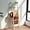 Wash White, variant on 67-Inch Farmhouse Blanket Ladder with Shelf and Hooks 5-Tier Wooden Wall Leaning Towel Quilt Rack Color Wash White