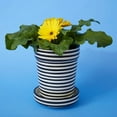 thumbnail image 3 of Black Striped Ceramic Planter Set, 3 of 4