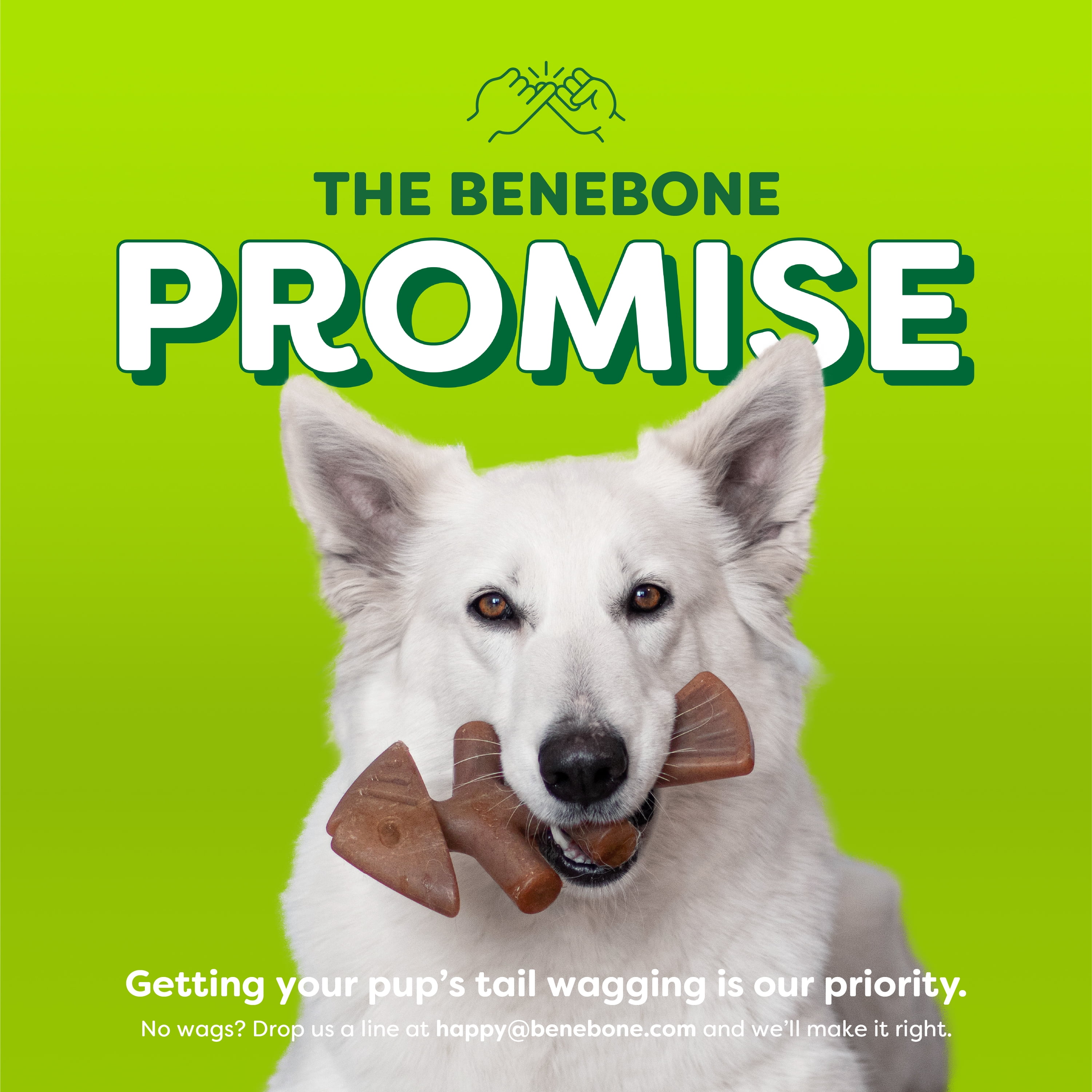 Benebone Essentials Fishbone Durable Dog Chew Toy for Aggressive Chewers, Real Fish, S/M