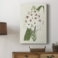 thumbnail image 5 of Flore Albo II Premium Gallery Wrapped Canvas - Ready to Hang, 5 of 9