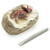 Image thumbnail_image