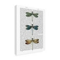 thumbnail image 2 of Trademark Fine Art 'Dragonflies Print 1' Canvas Art by Fab Funky, 2 of 3