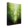thumbnail image 2 of Trademark Fine Art 'Into the Clearing' Canvas Art by Julia Purinton, 2 of 4