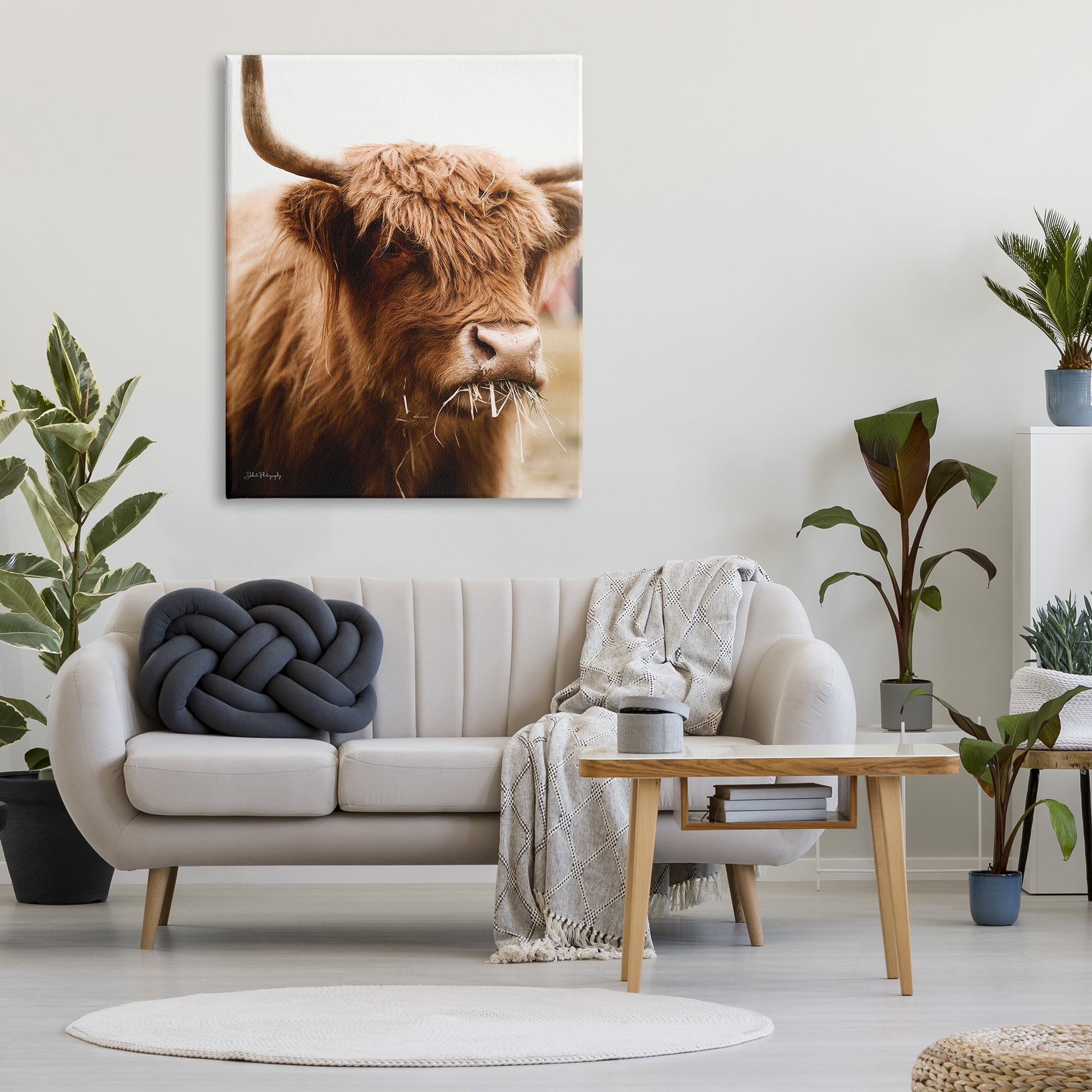 Stupell Industries Cattle Chewing Photography Animals & Insects Photography Gallery Wrapped Canvas Print Wall Art, 36 x 48
