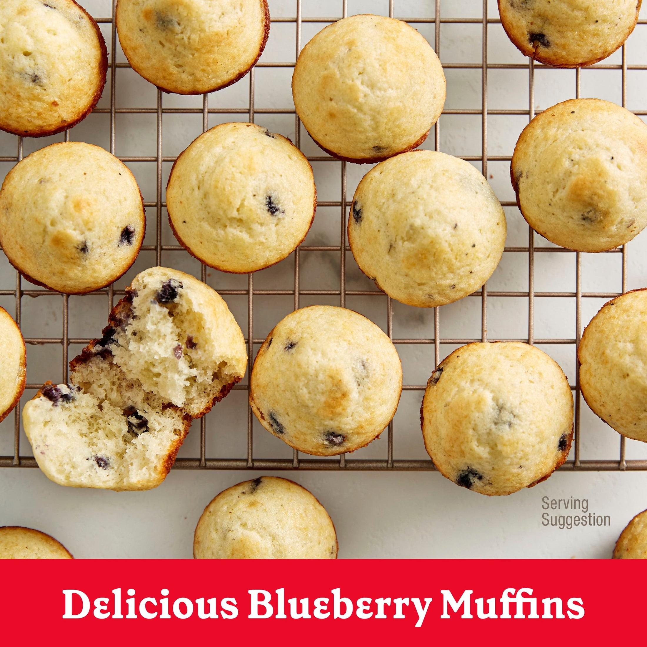 (6 pack) Betty Crocker Wild Blueberry Muffin and Quick Bread Mix, 16.9 oz