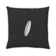 thumbnail image 2 of Ahgly Company Color Focus Black Coussin Décoratif d'Intérieur, 18 Po X 18 Po, 2 of 6