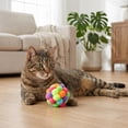 thumbnail image 3 of Vibrant Life Pastel Pom Pom Cat Toy, 1 Piece, 3 of 8