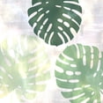 thumbnail image 2 of Kimberly, Allen 20x20 Black Ornate Wood Framed with Double Matting Museum Art Print Titled - Sage Palms 3, 2 of 4