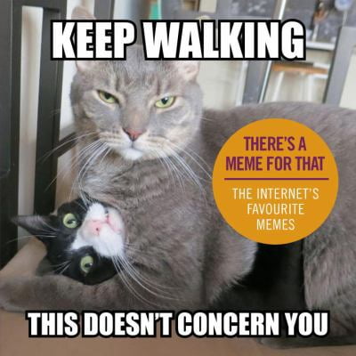 Pre-Owned Keep Walking, This Doesn't Concern You: The Internet's Favourite Memes (Hardcover) 1785033913 9781785033919
