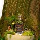 thumbnail image 2 of Gnomo de Hadas en Miniatura Ventana y Puerta para el Hogar DecoracióN áRboles Decoraciones JardíN Ventanas Luces Que Pueden Brillar la Oscuridad, 2 of 5