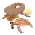thumbnail image 1 of Juguete de biología Zulema tortuga natural de plástico, 1 of 8