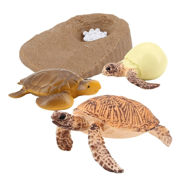Ciclo de vida de la naturaleza de la tortuga marina, juego de figuras de animales, juguetes para niños, fiesta temática tortuga marina 2423