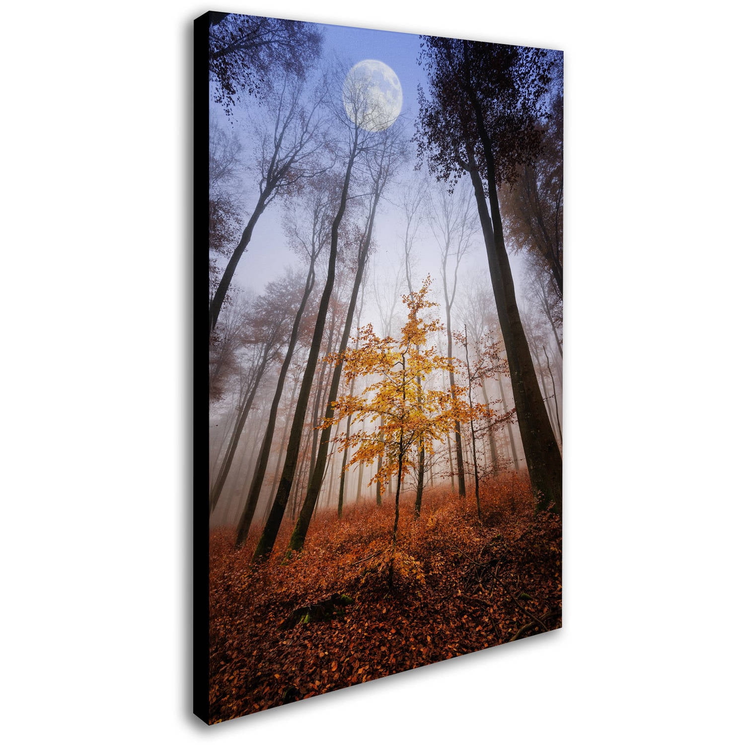 Trademark Fine Art "Sentinel" Canvas Art by Philippe Sainte-Laudy