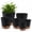 Black, variant on FOUKUS Set of 6 Self-Watering Plant Pots with Drainage – Eco-Friendly Plastic Planters for Indoor & Outdoor Use – Pots for Succulents, Cactus, Snake Plants (8", 7", 6.5", 6", 5.5", 5") – Black