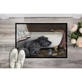 thumbnail image 2 of Carolines Treasures PPP3250MAT Cairn Terrier Bath Time Door Mat Indoor Rug or Outdoor Welcome Mat 18x27 Doormat  18H X, 2 of 3