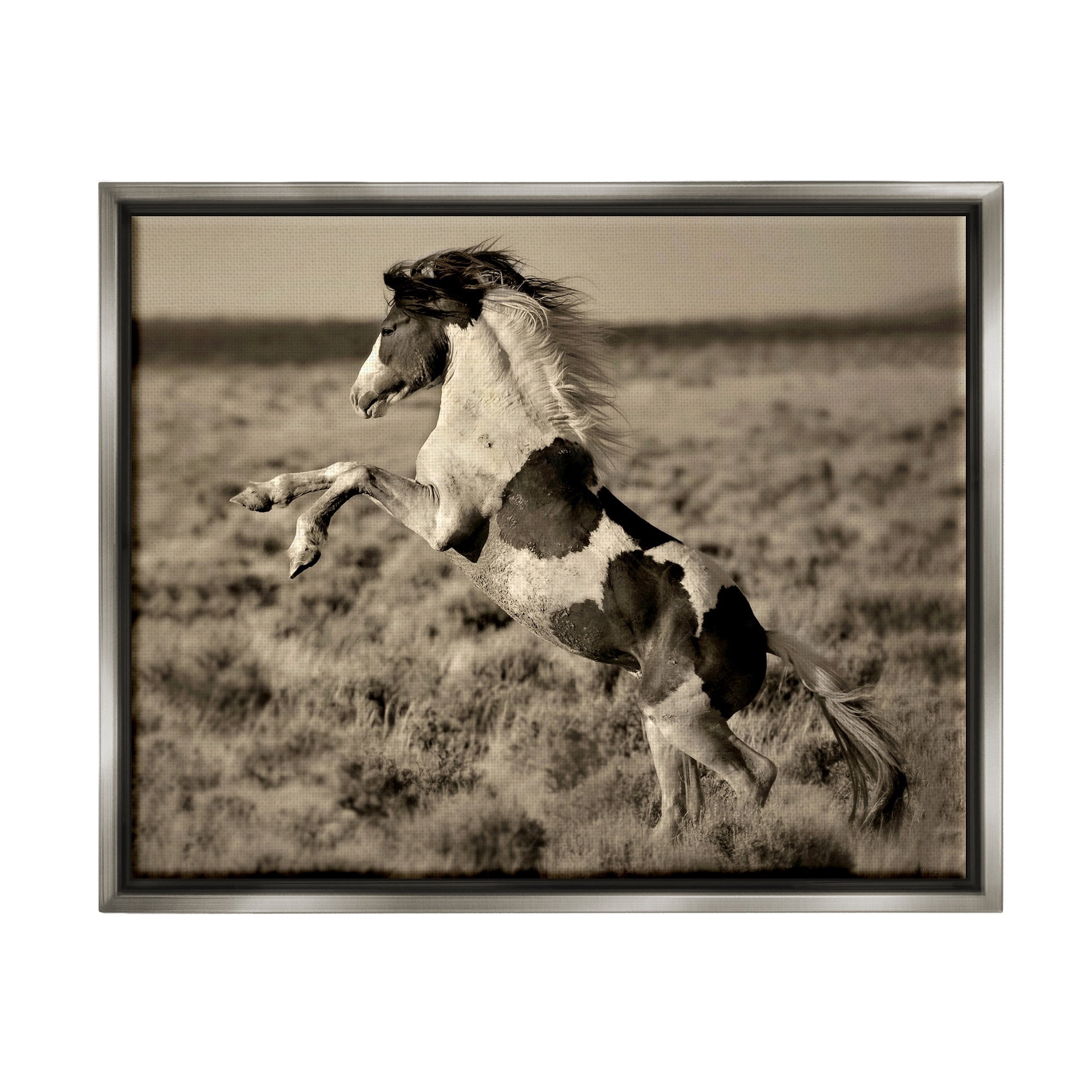 Stupell Industries Rearing Spotted Horse Rural Countryside Field Photography Photograph Luster Gray Floating Framed Canvas Print Wall Art, Design by Lisa Dearing